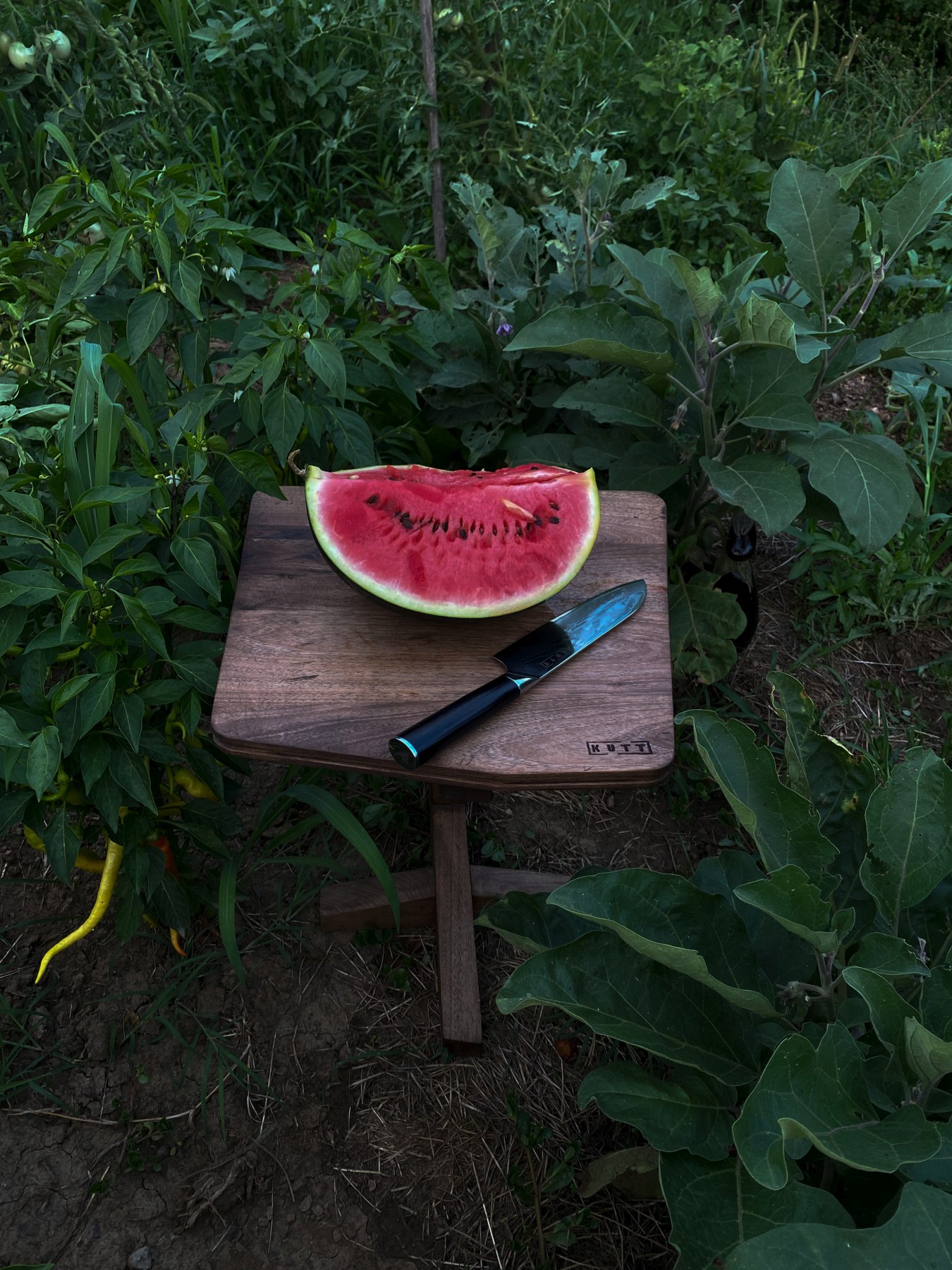 styling si fotografie produs_3167