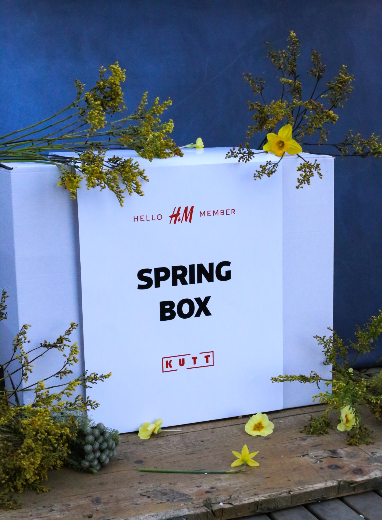 styling si fotografie produs_4403